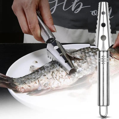 Metal fish scaler being used on a fish with a blurred background