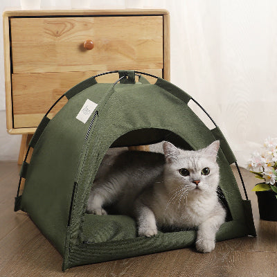 Cat inside a green tent on a wooden floor with a wooden drawer in the background