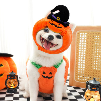 Dog wearing a Halloween pumpkin costume with a witch hat on a checkered floor.