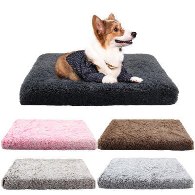 Dog lying on a plush pet bed with color options displayed below.