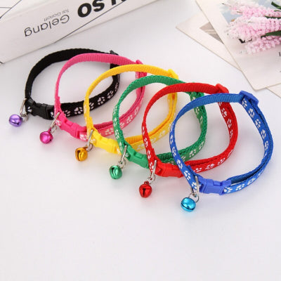 Colorful pet collars with bells on a white surface