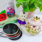 Collection of items including a glass jar with a lid, a small teddy bear, a red rose, and a plant on a white surface.
