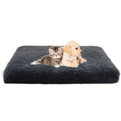 Cat and dog lying on a fluffy dark gray pet bed against a white background