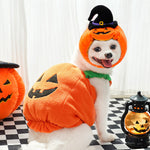 Dog in a Halloween pumpkin costume with a checkered floor and lantern in the background