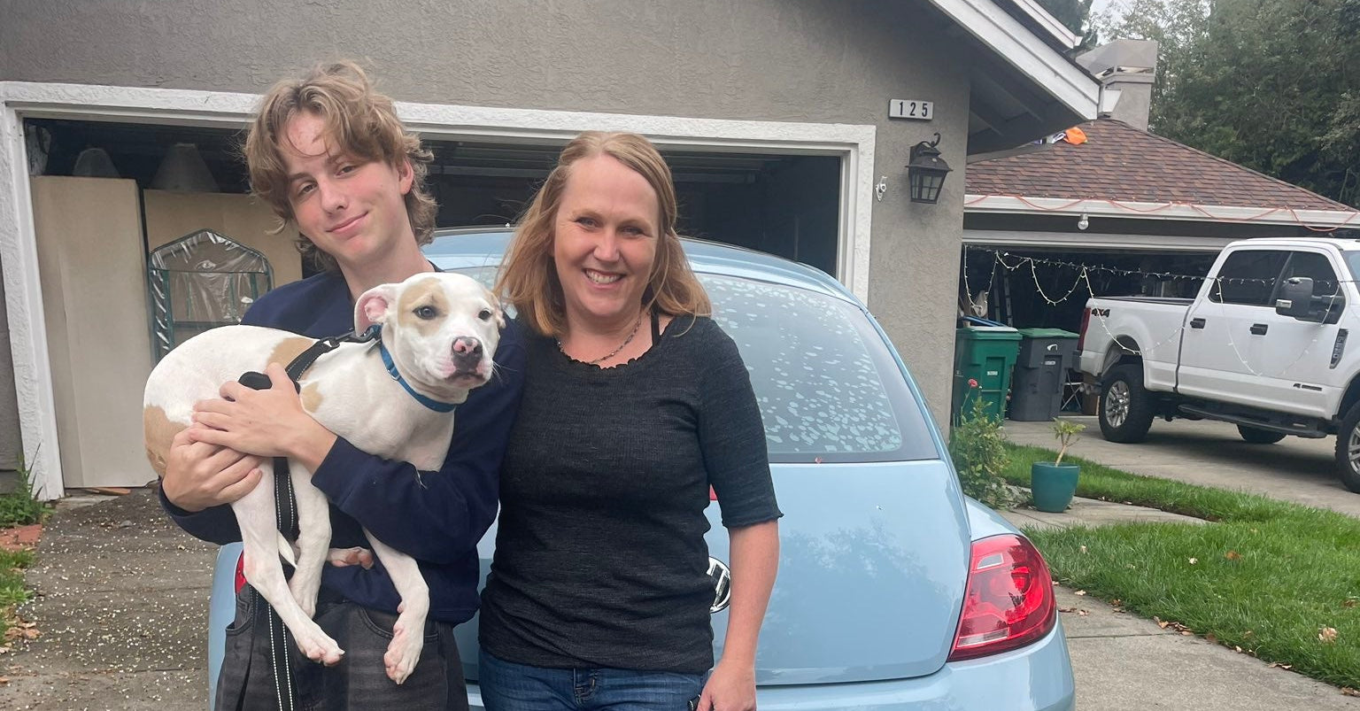 Black stainless steel elevated dog bowl stand for medium and large dogs – Goeverz pet supplies