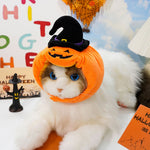 Cat wearing a Halloween-themed pumpkin costume with a witch hat.