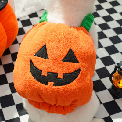 Paw with a pumpkin design on a checkered floor