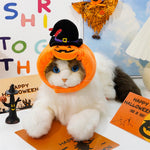 Cat wearing a Halloween-themed costume with pumpkins and a witch hat, surrounded by festive decorations.