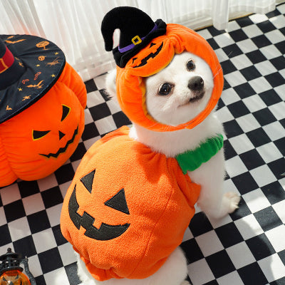 Dog in a Halloween pumpkin costume sitting on a checkered floor next to a pumpkin decoration.